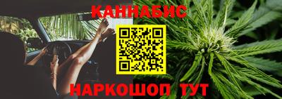 сатива Донской