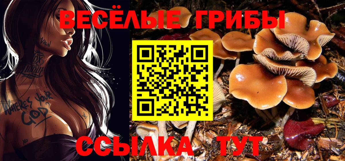 Чебаркуль  Галлюциногенные грибы Cubensis  Вход с VPN 